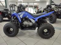 YAMAHA YFM 90 RAPTOR