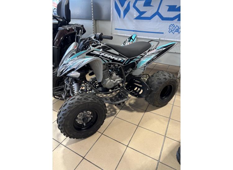 APOLLO MOTORS sand predator 250