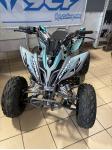 APOLLO MOTORS sand predator 250